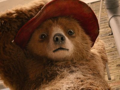 Paddington stage musical in the works with songs by McFly star Tom Fletcher