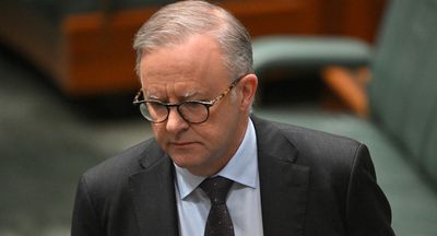 Albanese, NZ and Canadian PMs call for Gaza ceasefire