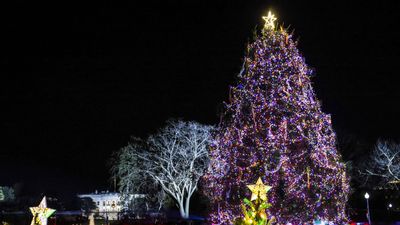 How to watch the National Christmas Tree Lighting