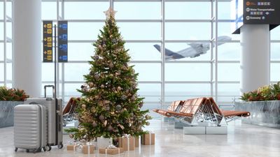 Four Christmas Flight Booking Tips