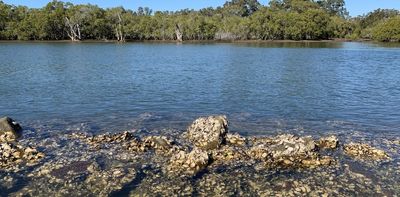 Pesticide residue from farms and towns is ending up in fresh oysters