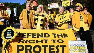 Knitting Nannas win part of protest law challenge
