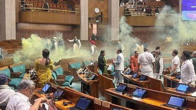 Smoke canister strike by two visitors sets off chaos in Lok Sabha