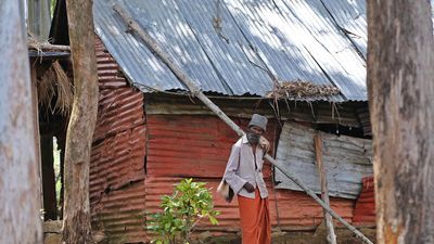 Wild elephant destroys hut at Chinnakanal