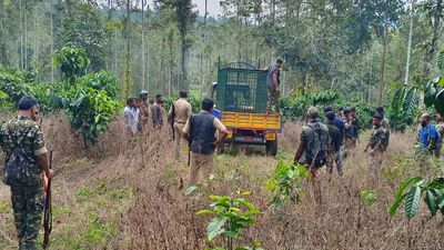 Eighty-member special team to capture elusive tiger in Wayanad, says Minister