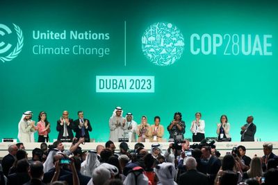 Delegates agree to 'transition away' from fossil fuels for first time at COP28