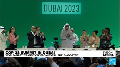 COP28: Some targets met for Africa, but funding still falls short