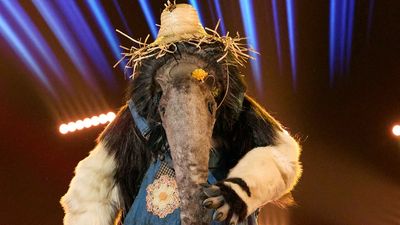 'I Was Pretty Burned Out': The Masked Singer’s Anteater Got Real About Why He Wasn't So Upset About Leaving Season 10