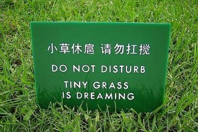 40 Times Translations Went Hilariously South