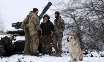 Russia-Ukraine war at a glance: what we know on day 659