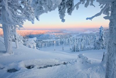 11 of the best things to do in Lapland