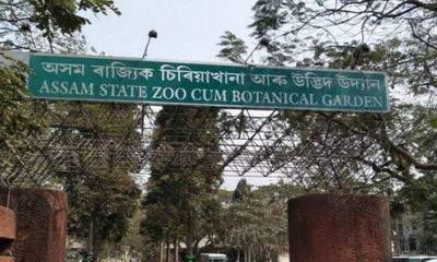 Assam Zoo takes measures to keep animals warm during winter