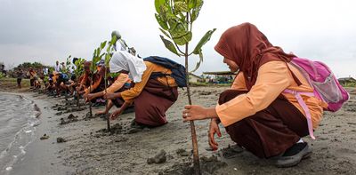 COP28 agreement on adapting to climate change kicks the real challenge down the road