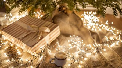 Energy expert reveals 7 ways to save money on your Christmas lights