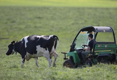 Independent advice must be taken by ministers on Agriculture Bill, say campaigners