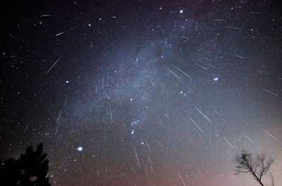 There’s still time to view the Geminid meteor shower in Kentucky