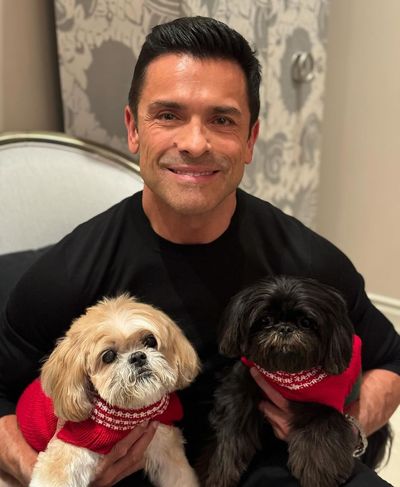 Kelly Ripa Spreads Christmas Cheer with Husband and Furry Companions
