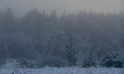 Country diary: A ghostly, freezing day in the Cairngorms