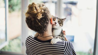 Here are the top three mistakes cat parents make, according to one trainer