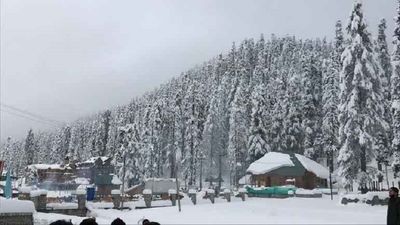 Weather Update: Cold wave sweeps Kashmir; Srinagar records minus 3.5 degree celsius