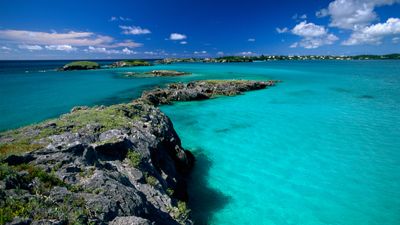 Sargasso Sea around Bermuda is now at its hottest, most acidic and oxygen-starved than at any point in recorded history
