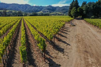 8 Great Wine Club Memberships For Gifts — Or For Yourself