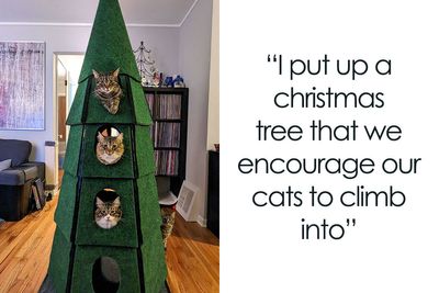 50 People That Got So Creative With Their Christmas Trees, They Had To Be Applauded Online (New Pics)