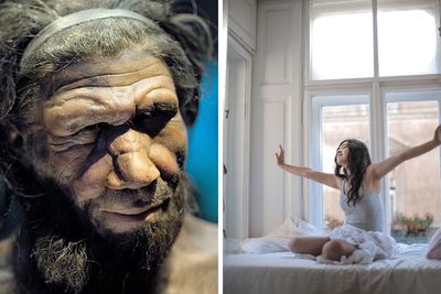 Neanderthals And Other Extinct Species May Explain Why Some People Go To Bed Early