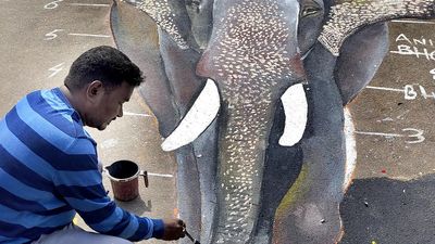 Wild elephants damage Arjuna’s burial ground in Sakleshpur taluk