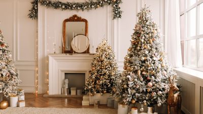 6 ways to save money on a Christmas tree