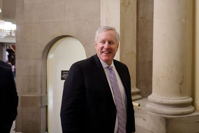 Expert: "Meadows is toast" after hearing