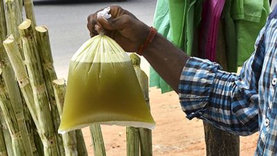 Centre allows use of sugarcane juice, B-molasses to make ethanol; caps sugar diversion at 17 lakh tonnes in 2023-24