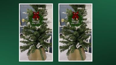 This TikTok Christmas tree hack is perfect for small space dwellers