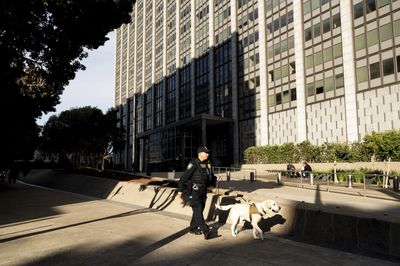 Overseas Gangs Orchestrating Retail Thefts Across US Unveiled