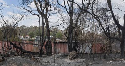 Coalfields fires blacken 750 hectares as RFS urges residents to stay alert in total fire ban