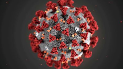 COVID-19 sub-strain JN.1 detected in elderly woman from Kerala