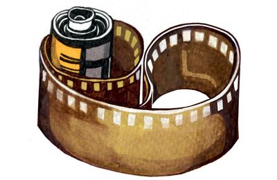 How do photos get made and why do cats have whiskers? Try our kids’ quiz