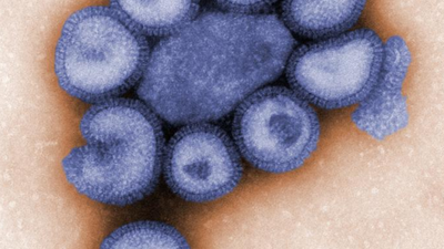 Significance of an influenza A (H1N2)v case in the U.K.