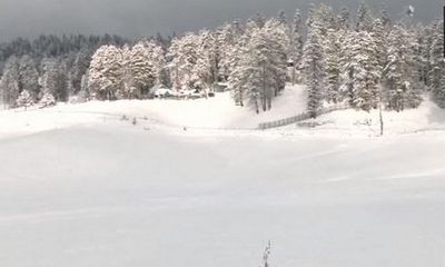 J-K: Fresh snowfall turns Gulmarg into mesmerising winter wonderland