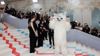 32 of the most famous cats