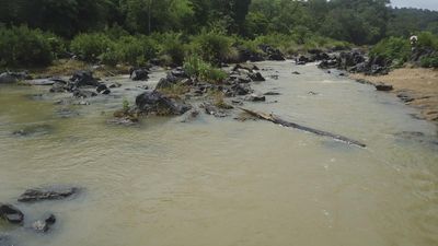 Five of family on picnic feared dead in Shalmala river near Sirsi