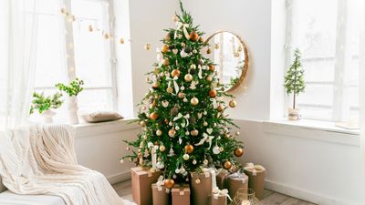 8 mistakes to avoid when buying a Christmas tree