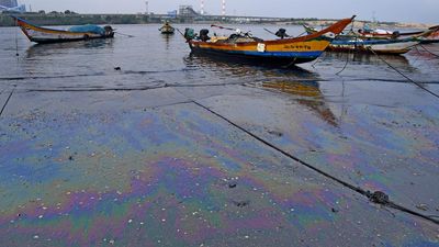 An oil spill in an ignored wetland in Tamil Nadu