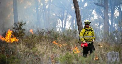Prescribed burns planned for Chapman and Gungahlin