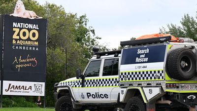 Screams heard as woman fatally stabbed in Canberra zoo
