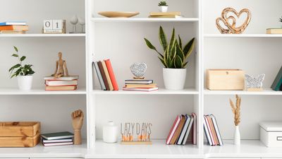 7 clever ways to display books in your home