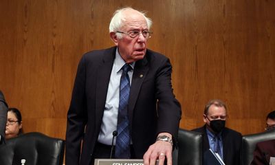 Bernie Sanders demands answers on Israel’s ‘indiscriminate’ Gaza bombing