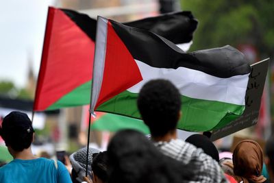 Pro-Palestine rally leaders credit public ‘pressure’ with Labor’s shift on Gaza