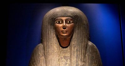 Go and explore ancient Egypt and other exciting exhibitions