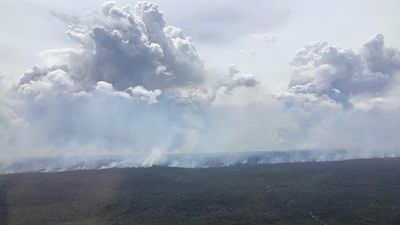 Rain brings relief to NSW fire grounds but risk remains